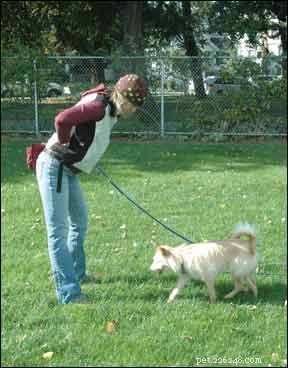 How to Train Your Dog for a Fast, Reliable Recall Every Time