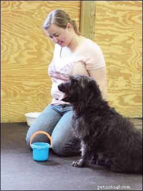 How to Train Your Dog for a Fast, Reliable Recall Every Time