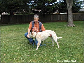 Teach Your Dog the Playful  Take a Bow!  Trick with Easy Steps