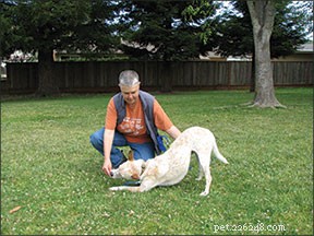 Teach Your Dog the Playful  Take a Bow!  Trick with Easy Steps