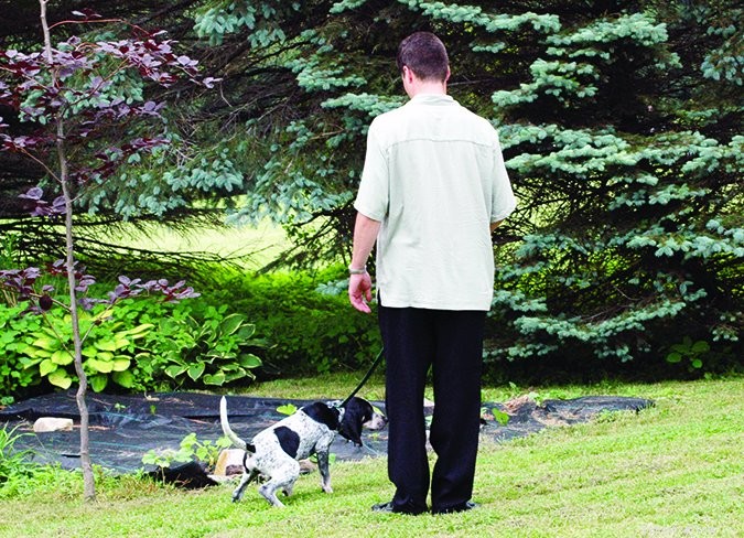 Mastering Outdoor House‑Training: A Proven Guide to Teach Your Dog Bathroom Skills