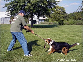 Exercise Your Dog: Inclusive Games for Physically Limited Owners