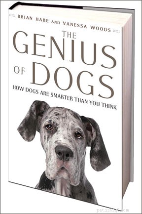 The Dog’s Mind: Exploring Canine Cognitive Abilities