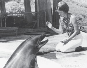 Karen Pryor: Pioneer of Positive Reinforcement Training