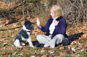Karen Pryor: Pioneer of Positive Reinforcement Training