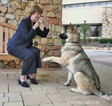 Karen Pryor: Pioneer of Positive Reinforcement Training