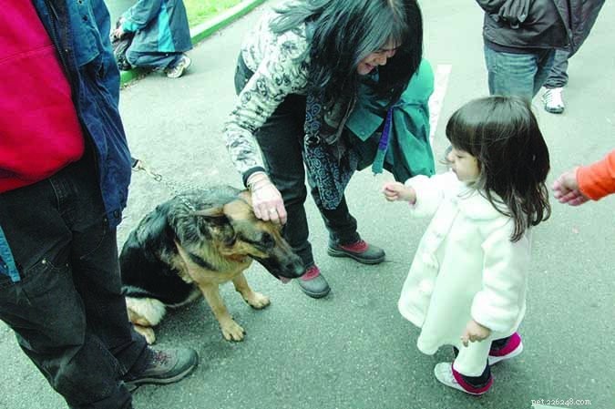 Train Your Dog to Be Polite: Expert Tips & Proven Techniques