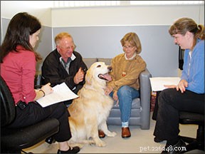Unlocking the Meaning Behind Dog Trainer Titles: What the Letters Reveal