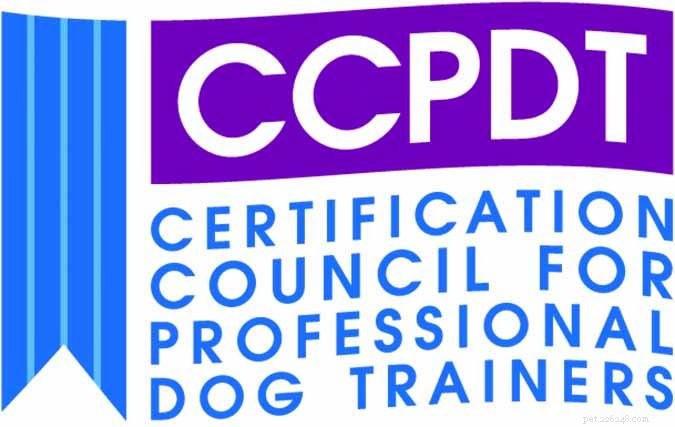 Unlocking the Meaning Behind Dog Trainer Titles: What the Letters Reveal