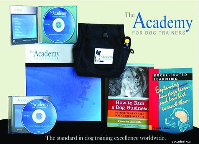 Unlocking the Meaning Behind Dog Trainer Titles: What the Letters Reveal