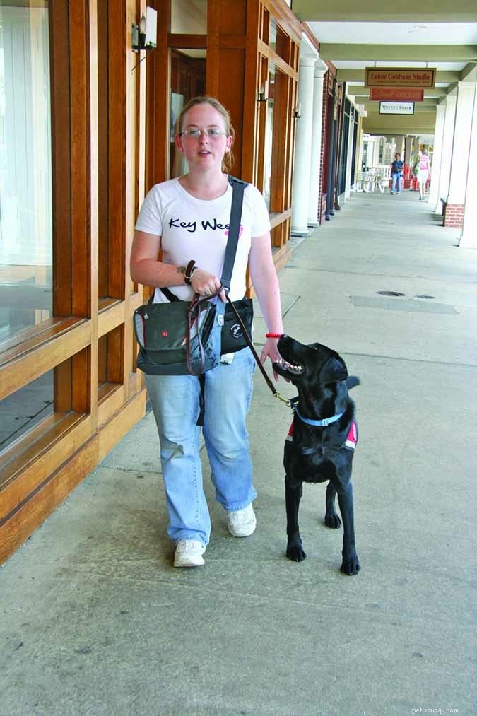 Positive Dog Training: Turning Playful Tugs into Calm Confidence