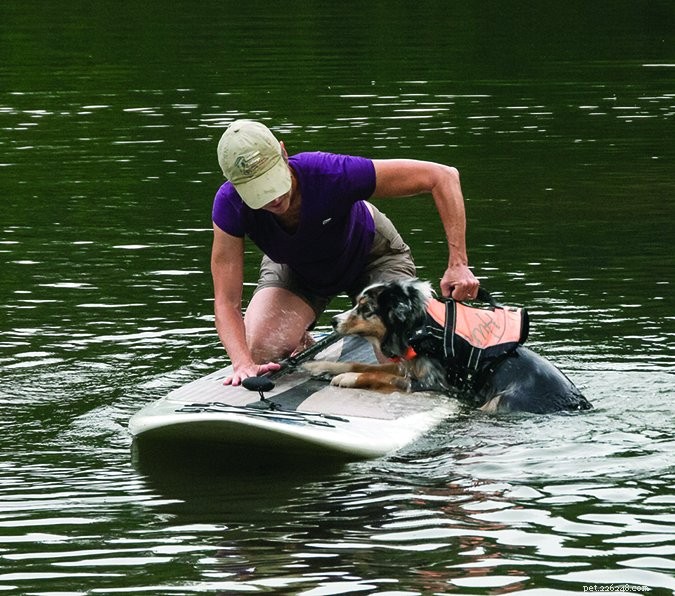 Paddleboarding with Your Dog: A Safe, Thrilling Adventure on the Water