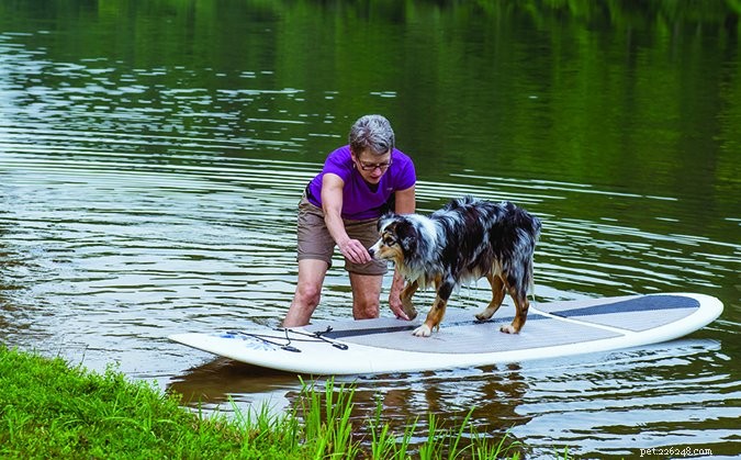 Paddleboarding with Your Dog: A Safe, Thrilling Adventure on the Water