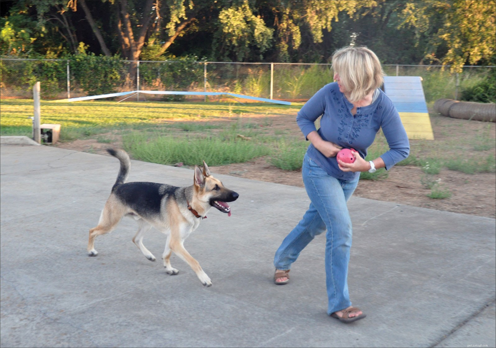 5 Expert Tips to Make Your Dog Come When You Call