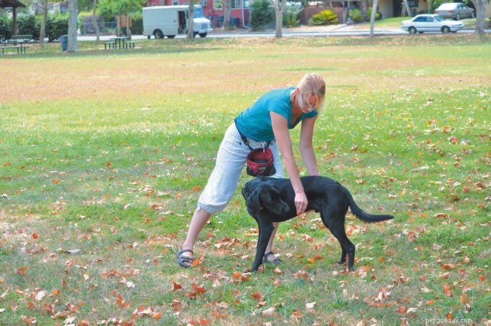 Safeguard Your Dog’s Health: Warm‑Up & Cool‑Down Routine to Prevent Exercise Injuries