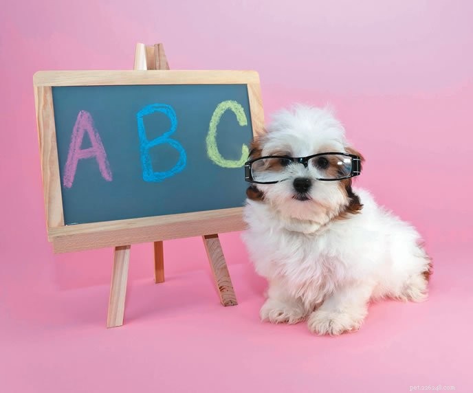 The Fundamentals of Training: Understanding Thorndike’s Law of Effect