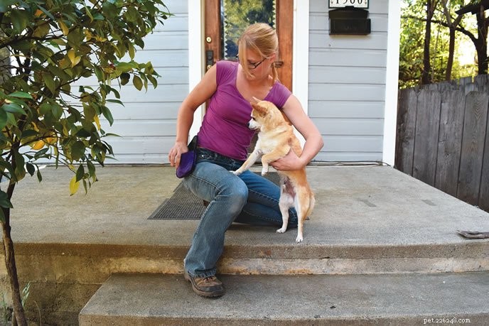 Gentle Dog Handling: Step‑by‑Step Classical Conditioning for Safe Lifting