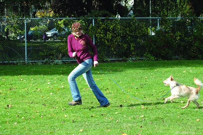 Enhance Your Dog s Training with Purposeful Walks