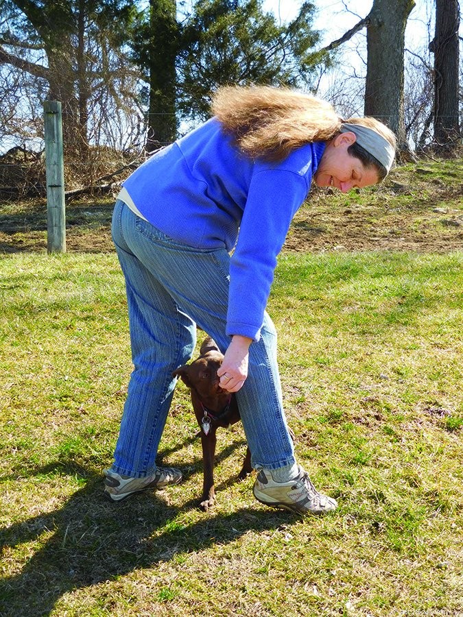Discover Joyful Dog Training: Teach New Tricks with Positive Reinforcement