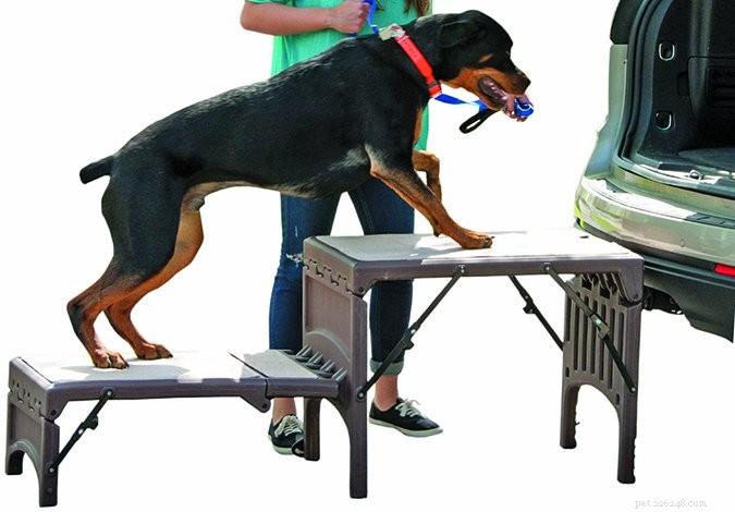 Mobility Aids for Dogs with Arthritis & Injuries