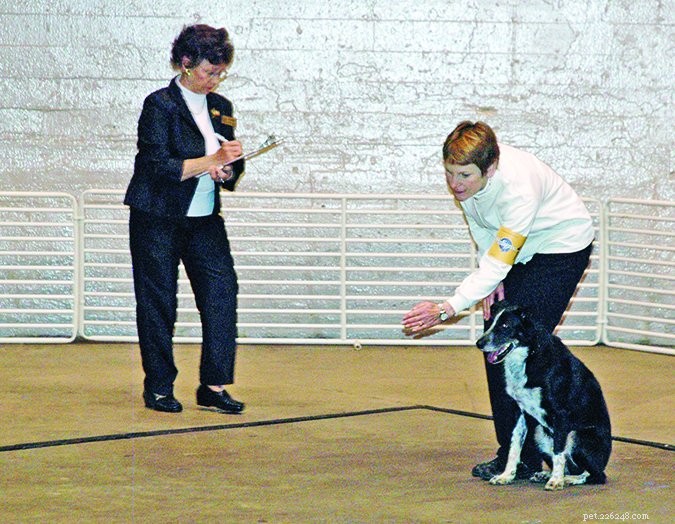 Master Fetch: Train Your Dog to Love Retrieval Naturally