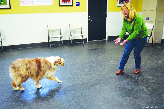 Master Fetch: Train Your Dog to Love Retrieval Naturally