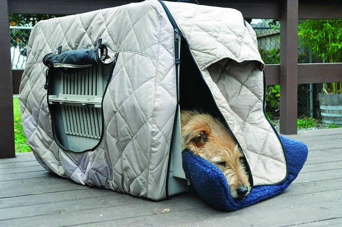 Effective Crate Solutions: Enhancing Your Dog’s Comfort & Safety