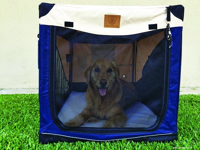 Soft‑Sided Dog Crates: Which Models Excel and Which Fall Short