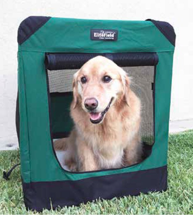 Soft‑Sided Dog Crates: Which Models Excel and Which Fall Short
