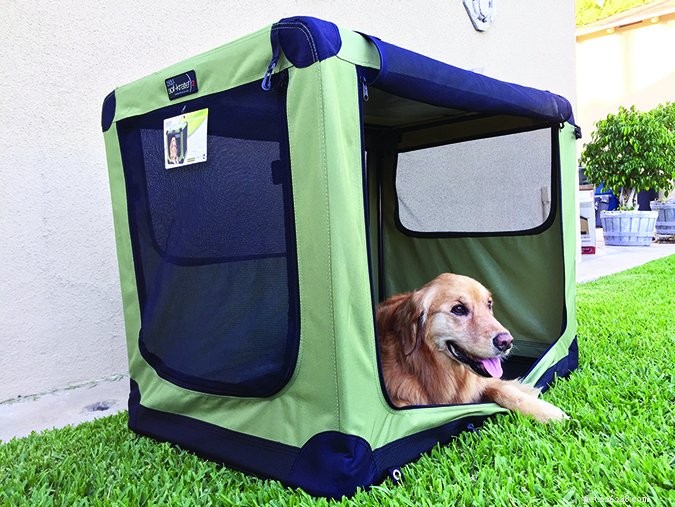 Soft‑Sided Dog Crates: Which Models Excel and Which Fall Short