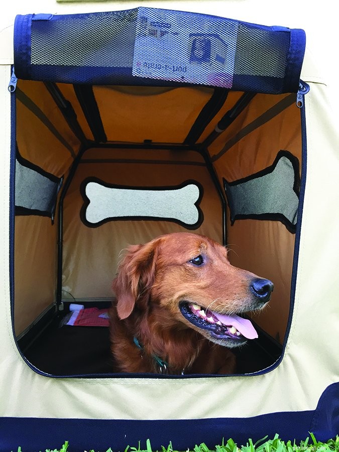Soft‑Sided Dog Crates: Which Models Excel and Which Fall Short