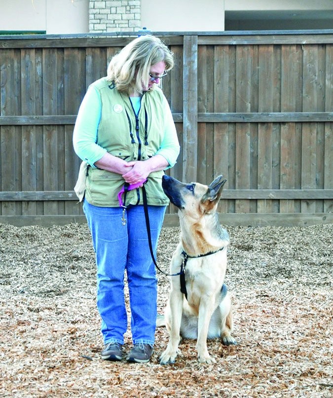Mastering Your Dog’s Sit: A Step‑by‑Step Shaping Guide