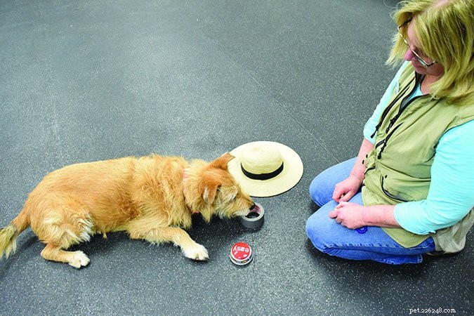 Teach Your Dog to Name Objects: A Step‑by‑Step Guide