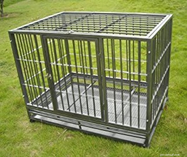 Choosing the Right Dog Crate: A Comprehensive Guide for Training Success