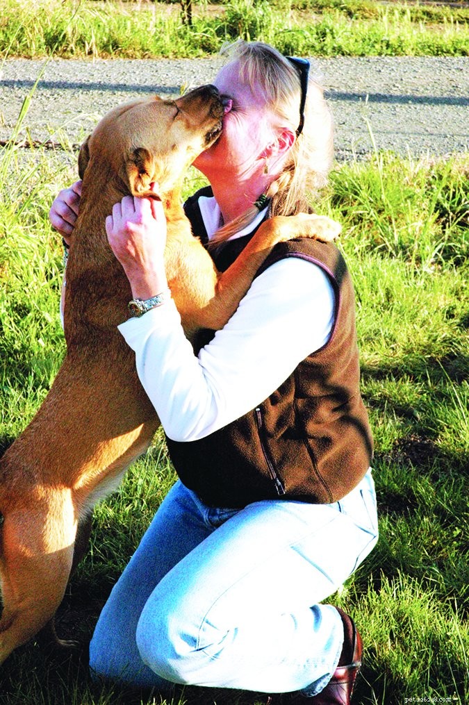 Train Your Dog to Greet Calmly: A Step‑by‑Step Guide