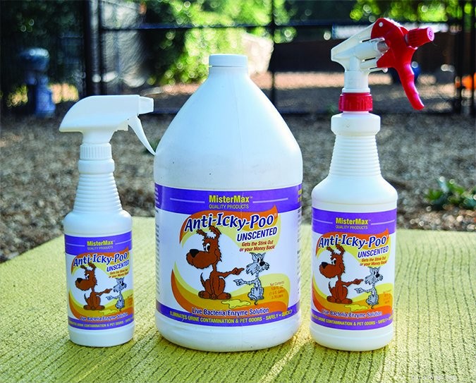 Expert Guide: Master Potty Training Your Dog in Weeks