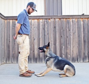 Mastering Verbal Cues: Train Your Dog to Respond Without Hand Signals