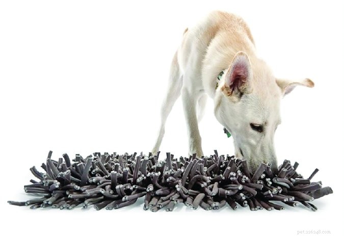 Top Food-Dispensing Dog Toys of 2024: Boost Training and Keep Your Pet Engaged