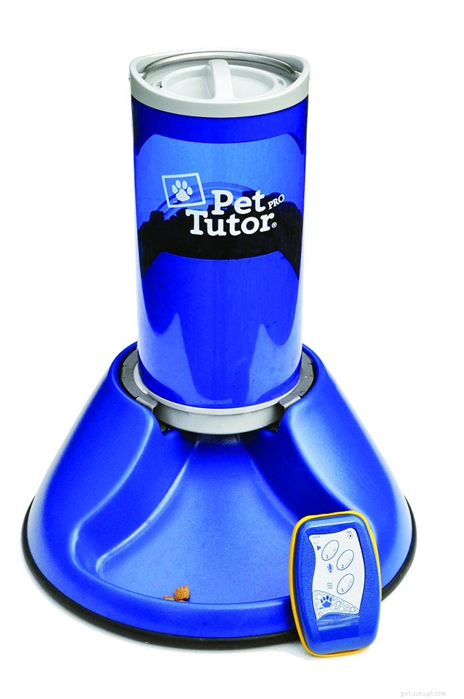 Top Food-Dispensing Dog Toys of 2024: Boost Training and Keep Your Pet Engaged
