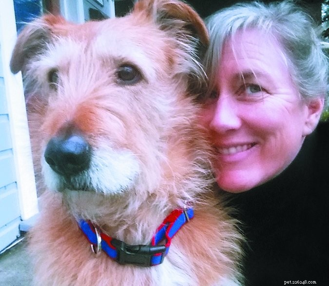 The True Cost of Freedom: Off‑Leash Dog Walking – Risks & Responsibilities