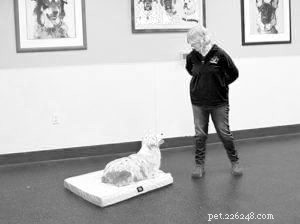 Master Mat Training: Teach Your Dog to Lie Down and Stay on Cue