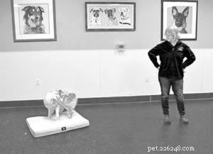 Master Mat Training: Teach Your Dog to Lie Down and Stay on Cue