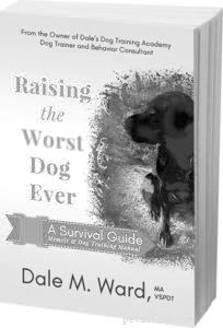 Whole Dog Journal 2019 Gear of the Year – Expert‑Reviewed Must‑Haves