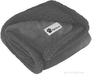 Whole Dog Journal 2019 Gear of the Year – Expert‑Reviewed Must‑Haves