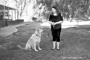 Invisible Reinforcement Training: Boosting Compliance Without Overbearing Oversight