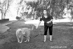 Invisible Reinforcement Training: Boosting Compliance Without Overbearing Oversight