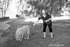 Invisible Reinforcement Training: Boosting Compliance Without Overbearing Oversight