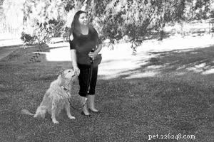 Invisible Reinforcement Training: Boosting Compliance Without Overbearing Oversight