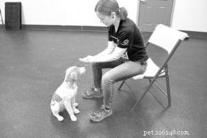 How to Train Your Puppy to Stop Nipping and Chewing: Teach Them  Leave It Alone 