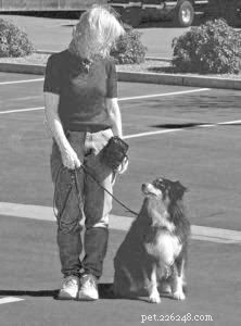 Training Dogs: 10 Life Lessons That Changed My World
